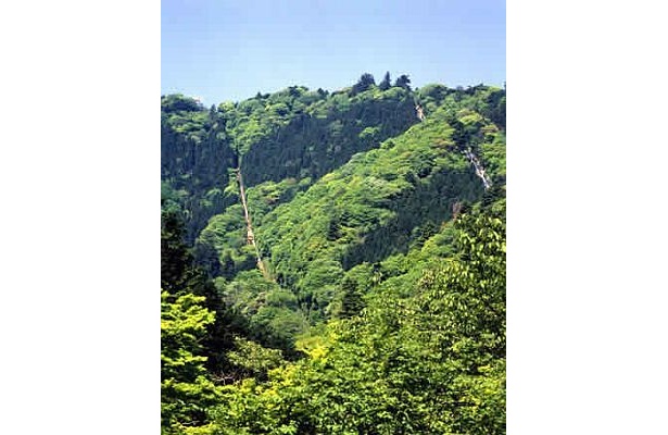 新施設が続々！進化する“高尾山”の魅力