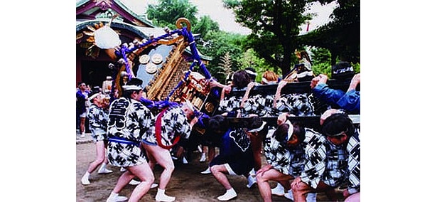 町内神輿が通称“こつ通り”に集まるのも要チェック！(千住天王祭)
