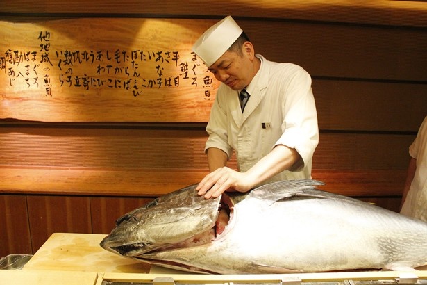 【写真を見る】松前産本マグロ。身の締まりがよく、脂が乗ったマグロ本来の味を楽しめる