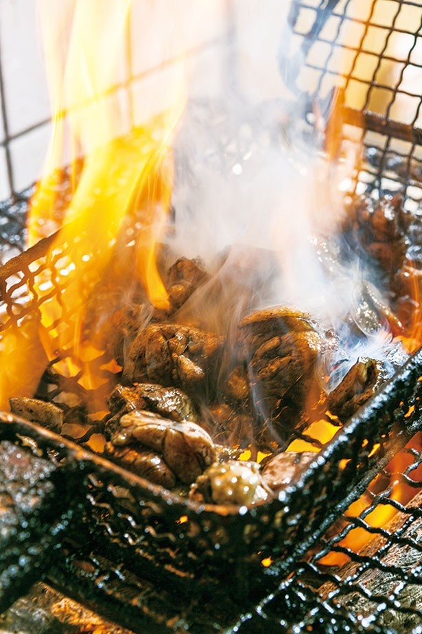 バラ焼きスタイルなど、今の焼鳥店は進化している！(道頓堀焼鳥 よねむら)