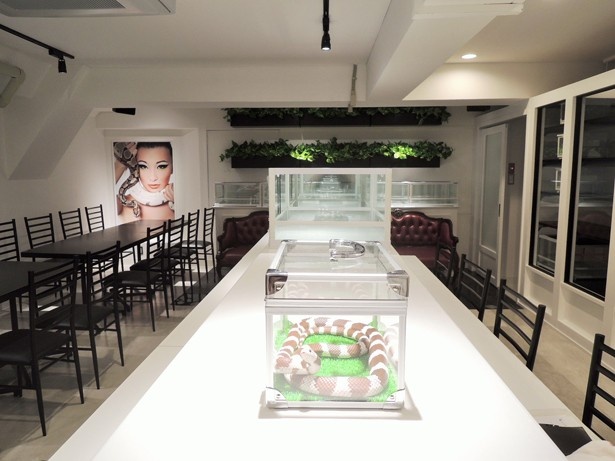【写真を見る】広々とした店内。予約不要で入店できる