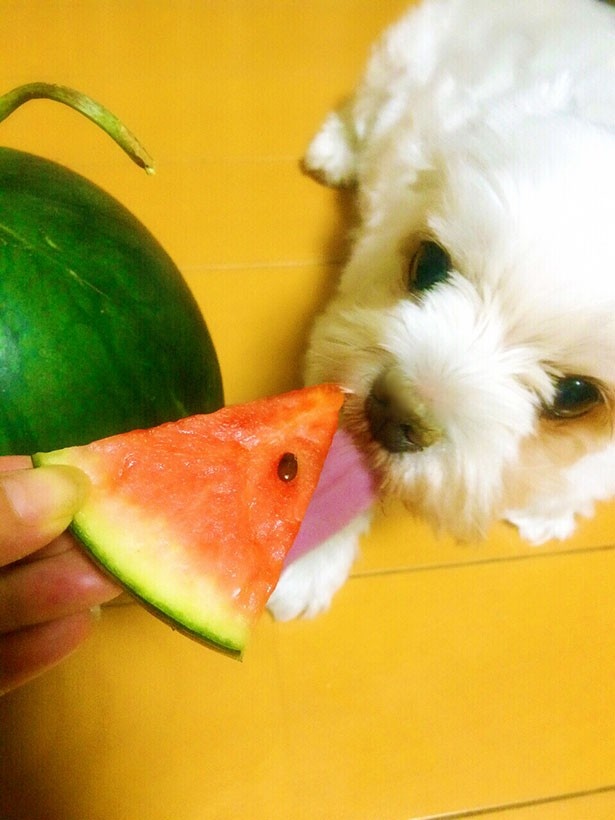 おやつは旬の生野菜や果物を！