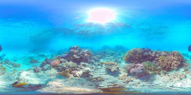 オーストラリア・グレートバリアリーフの水中映像