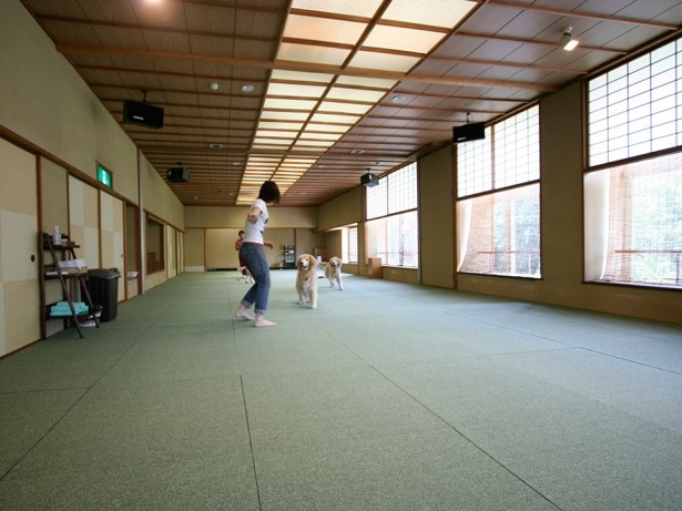 室内にもドッグランが。雨の日も安心