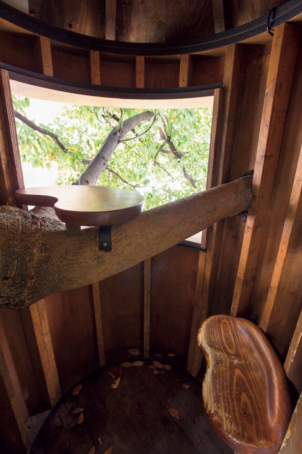レ・グラン・ザルブルのツリーハウスは、タブノキの自然な造形を生かした作り