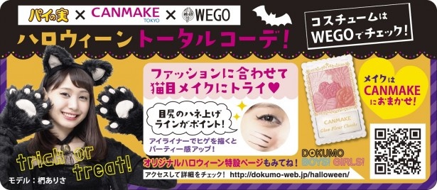 ｢パイの実｣裏面イメージ。“ネコ目メーク”のポイントやピンク系のチーク｢グロウフルールチークス02(アプリコットフルール)｣(税抜800円)を紹介