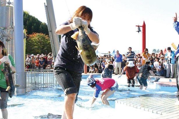 【写真を見る】生きた秋アジのつかみ取りに挑戦！例年、捕まえるたびに歓声が飛び交う