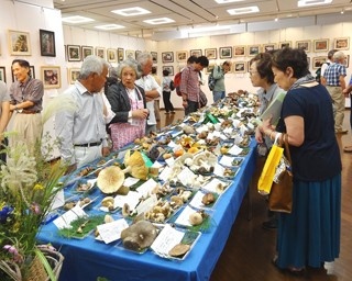 多摩のキノコ展に200種以上の実物キノコが登場