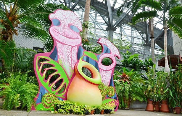 フラワーホールには食虫植物を描いたフォトスポットも登場