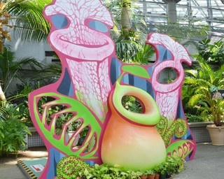 ｢虫を食べる植物展｣が“大人”バージョンに変身！