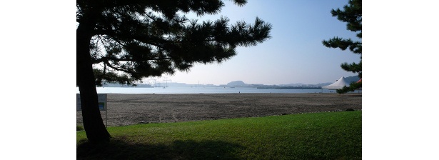 横浜市で唯一海水浴場のある海の公園は、自然たっぷり