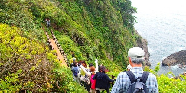 【写真を見る】山陰の絶景を堪能しよう