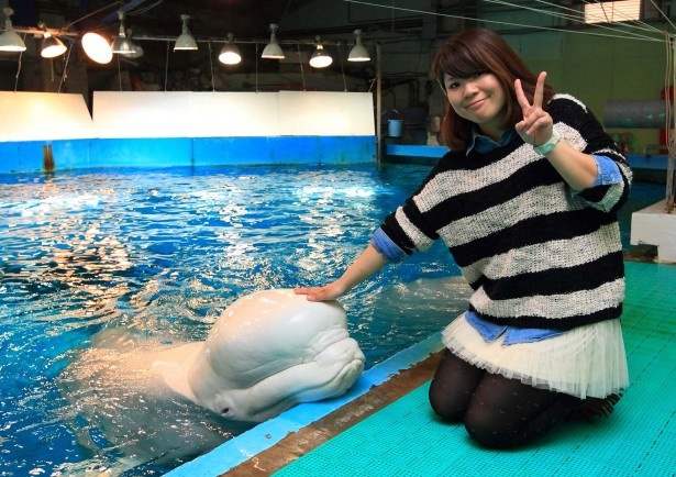 【写真を見る】人気のベルーガタッチ
