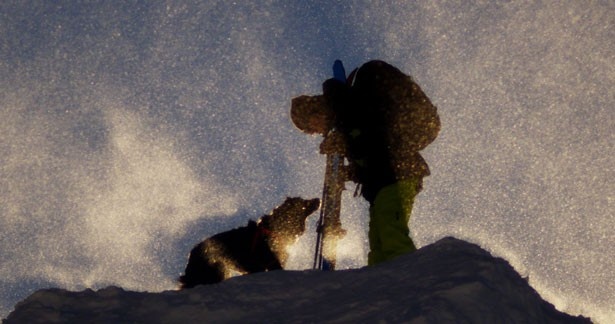 雪山でのスキーヤーと愛犬の揺るぎない絆がスクリーンいっぱいにあふれる  / プログラムA・「Sun Dog」USA 5分