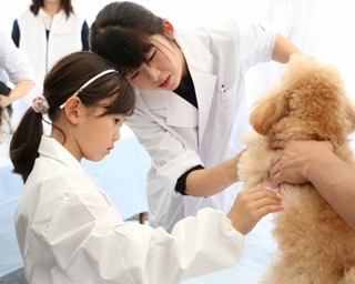 獣医師体験ができる駒沢公園のイベントとは？