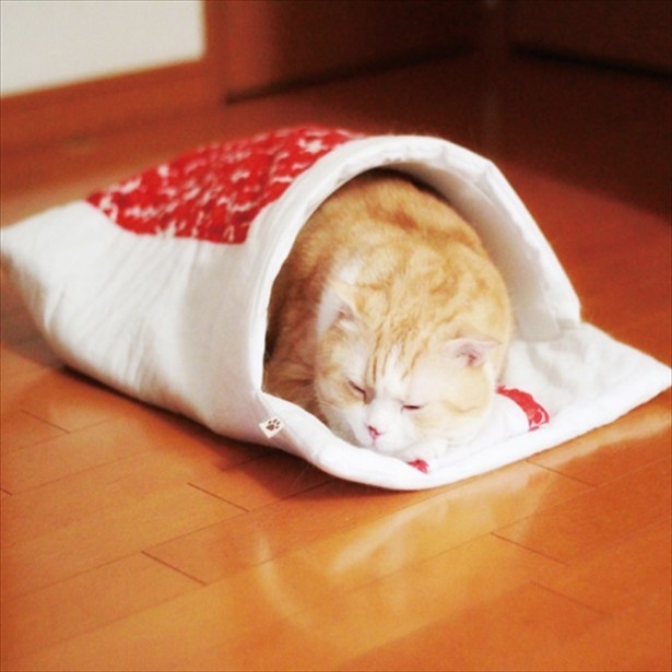 【写真を見る】まるで旅館の和室にあるようなデザイン！