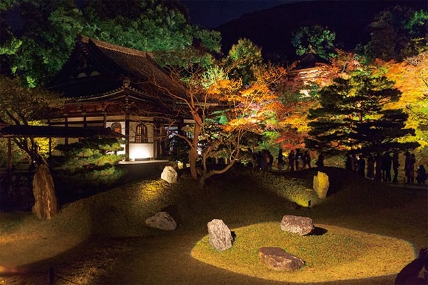 画像1 18 幻想的な秋の絶景 京都の 紅葉ライトアップ 7選 ウォーカープラス