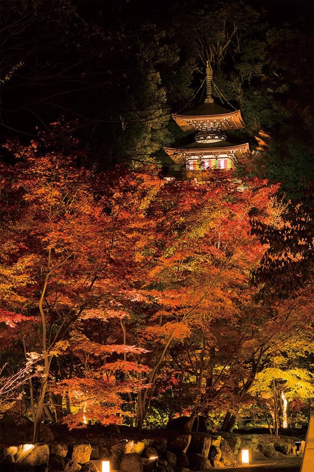 総本山 永観堂 禅林寺の多宝塔を包み込むように、あでやかな紅葉が広がる