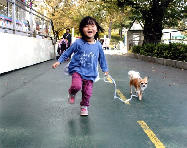 月曜日はとしまえん・西武園ゆうえんちがチケット半額｜ウォーカープラス