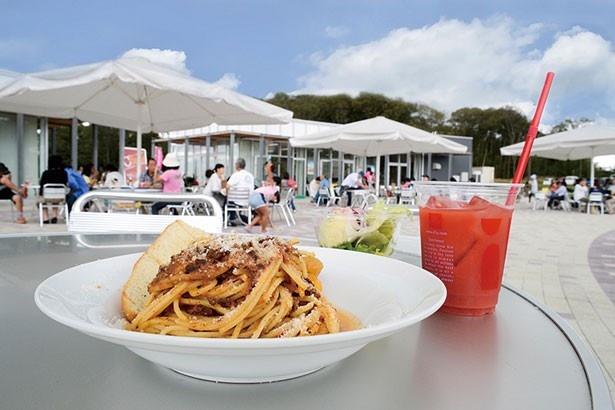 限定料理に特産品のマルシェなど、"花より団子"のあなたも楽しめる！