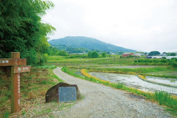 記紀や万葉集ゆかりの地が今回の捜索エリア
