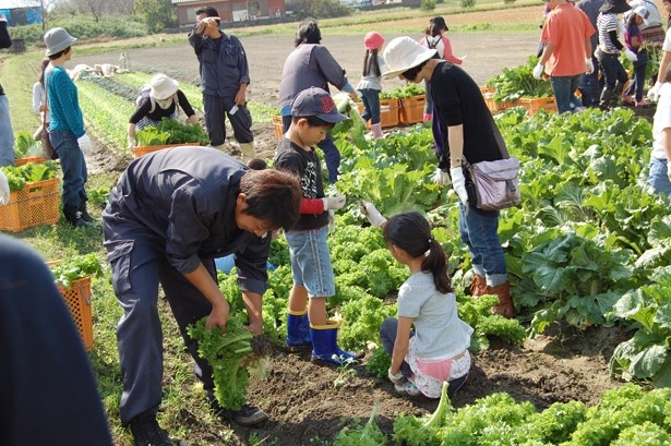 親子で一緒に楽しく学ぶ 