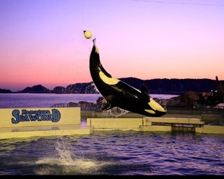 鴨川シーワールドで海の動物を学ぶ特別レクチャー
