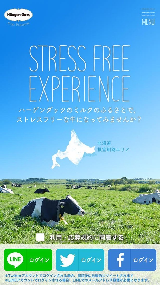 牛の気分になれるデジタルコンテンツ「STRESS FREE EXPERIENCE」。広大な北海道の自然に癒されよう