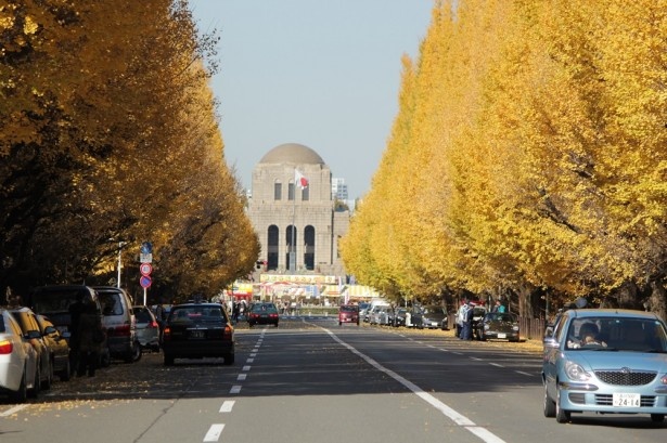 クルマで訪れれば、イチョウ並木を両脇に、聖徳記念絵画館を正面にした壮観が見られる