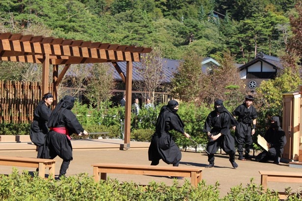 日本庭園では忍者ショーを不定期に実施！迫力あるパフォーマンスは必見だ