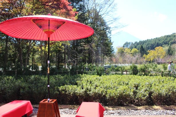 赤い野点傘が風情ある雰囲気を演出する茶処