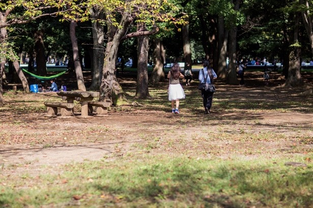 公園内を歩きながら、撮影場所を探すこともできる