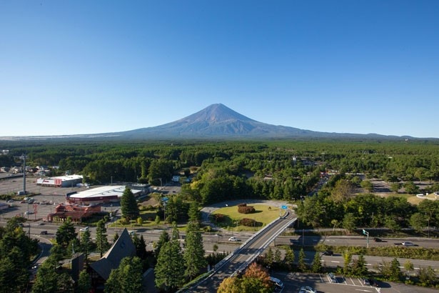 【写真を見る】左右対称の美しい富士山が真正面に！