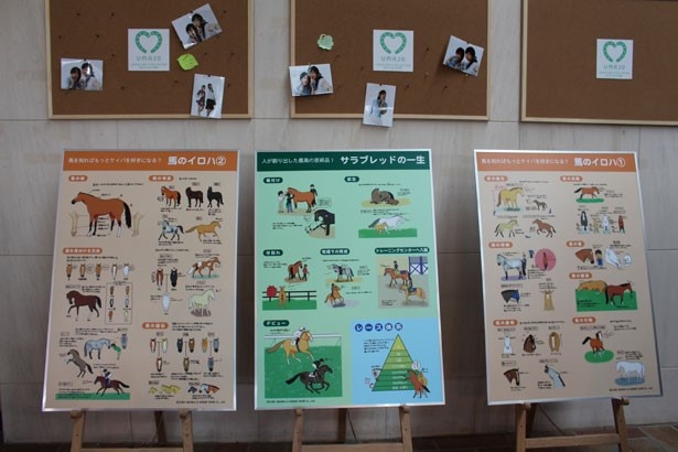 馬の体に関する知識やサラブレッドの一生など、競馬がもっと楽しくなる情報をパネルで紹介