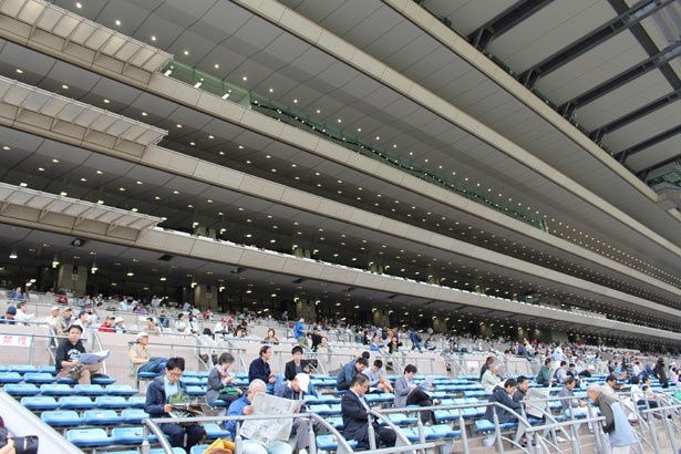 広大なフジビュースタンド。屋外席のため、レースの熱気を肌で感じることができる