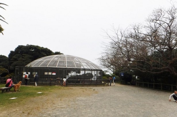 逗子海岸を望む丘の上にある披露山公園。ニホンザルや水鳥などの小動物が飼育されている