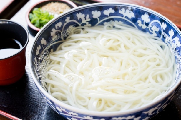 のこのしまアイランドパーク内にある「耕ちゃんうどん」。喉越しのよい「のこうどん」(783円)。釜揚げ、冷やしもある