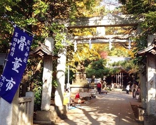“石神井のお氷川さま”で行われる新嘗祭とは？