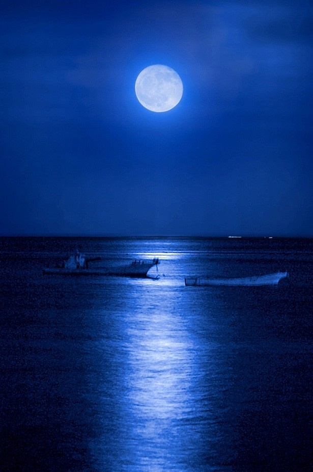 稲取温泉で宿泊した際には、月夜に現れるムーンロードも楽しみたい