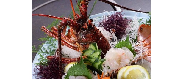いままさに旬の道、宮崎〜大分を結ぶ「伊勢えび海道」を走る！