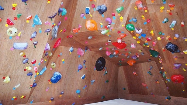 【写真を見る】ベテランクライマー用に難しいコースも