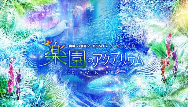 いつもと違った雰囲気の水族館を見られる「アクアフォレスト」を体験しに行こう