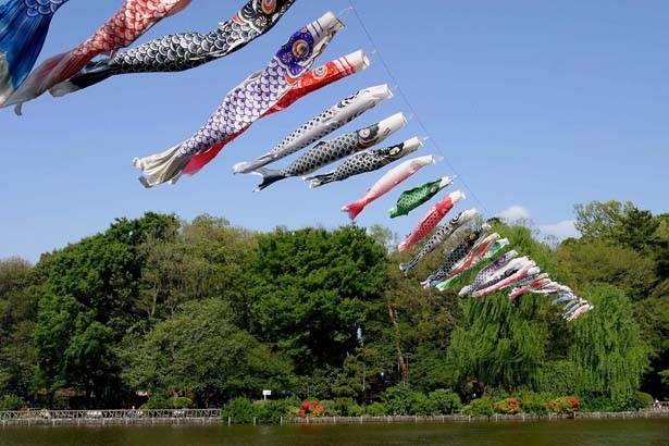5月には空中を悠々と泳ぐこいのぼりが登場(善福寺公園)