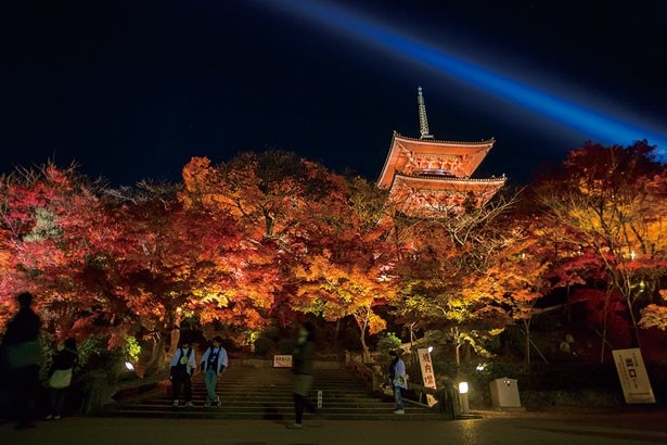 清水寺のライトアップは11月14日(土)～12月6日(日)まで開催