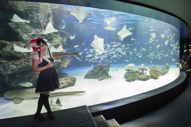 画像3 コスプレ美女 水棲生物 水族館でハロウィンを満喫 ウォーカープラス