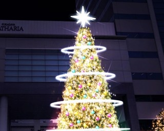 “粋でオシャレ”な深川のクリスマスイルミ