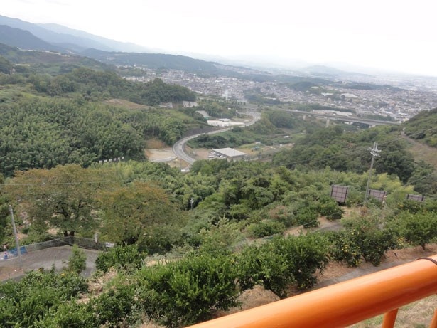 高台から眺める風景は抜群！