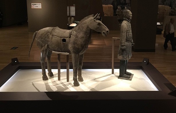 「軍馬」(写真左)と「騎兵俑」(同右)の展示
