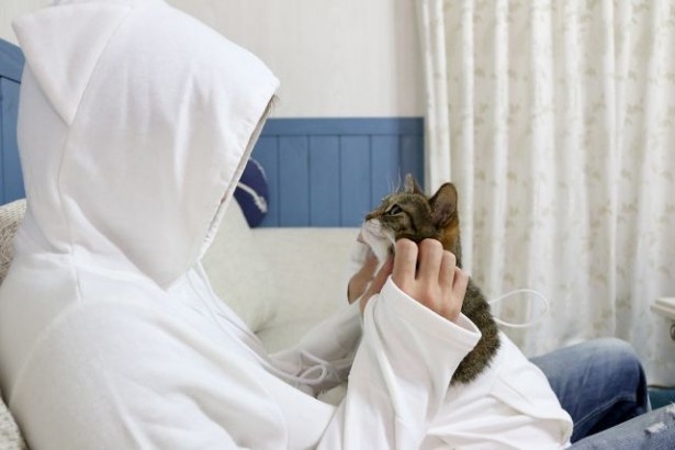 甘えたがりな愛猫との密着度アップ！