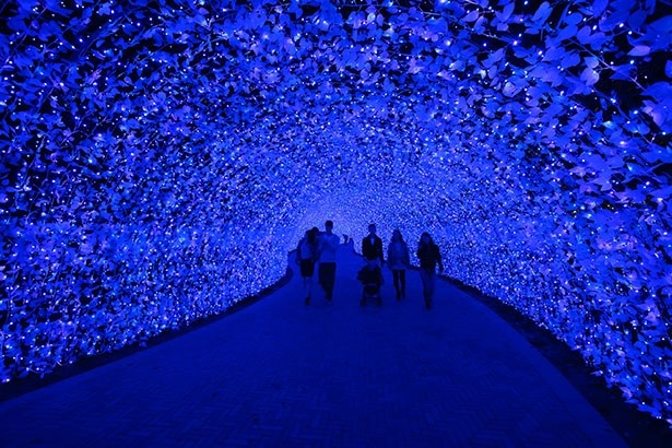 空や海、水といった広大な自然をイメージさせる光のトンネル「青の世界」。刻々と変化する青色に酔いしれよう